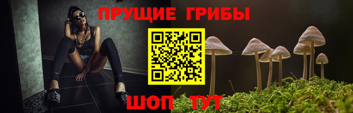 Галлюциногенные грибы Cubensis Чехов